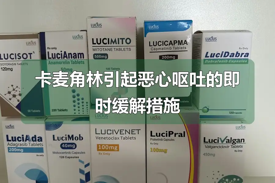 卡麦角林引起恶心呕吐的即时缓解措施