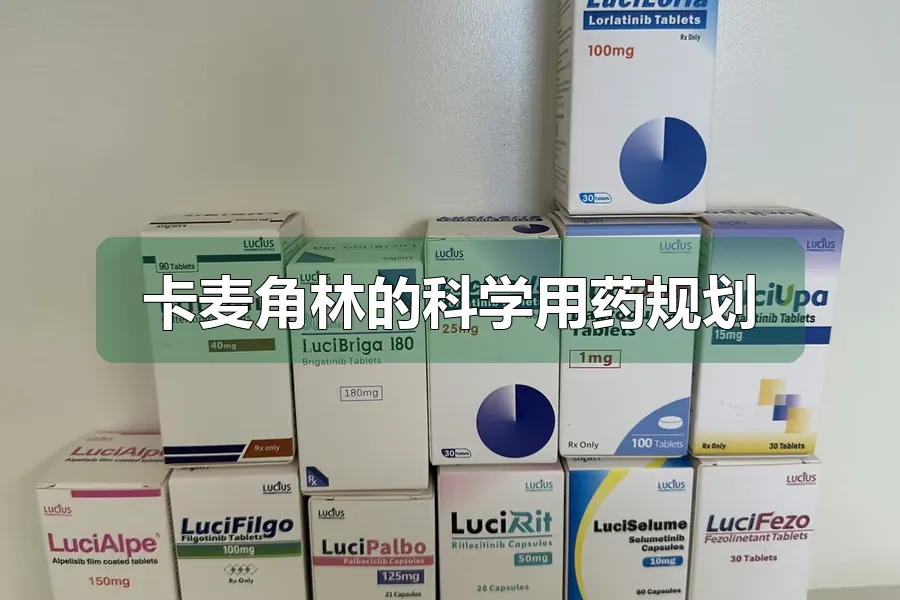 卡麦角林的科学用药规划