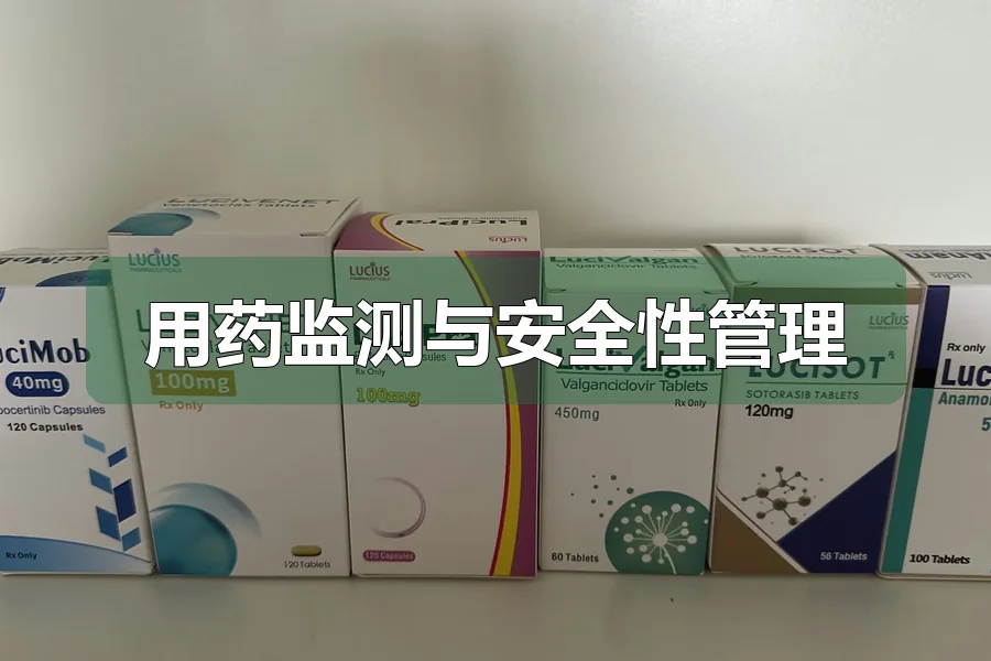 用药监测与安全性管理
