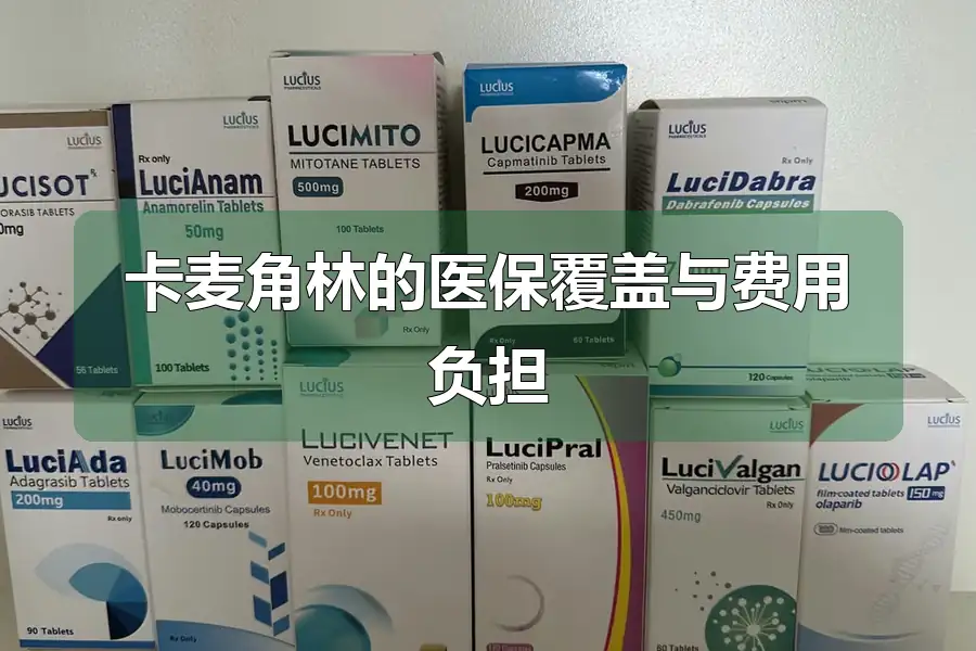 卡麦角林的医保覆盖与费用负担