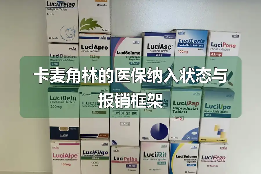 卡麦角林的医保纳入状态与报销框架